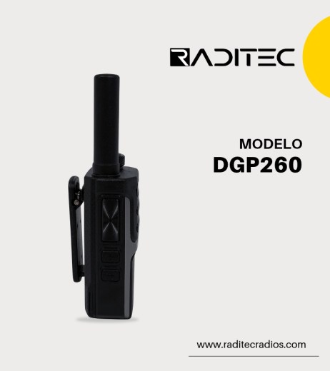 DGP260 (2)